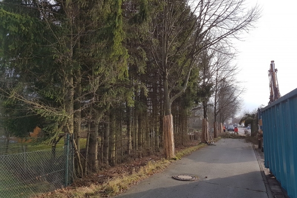 gerade-bei-baggerarbeiten-unerlaesslich-ein-wirkungsvoller-baumschutz7240ADA9-0746-869D-0660-2D26A0A266D9.jpg