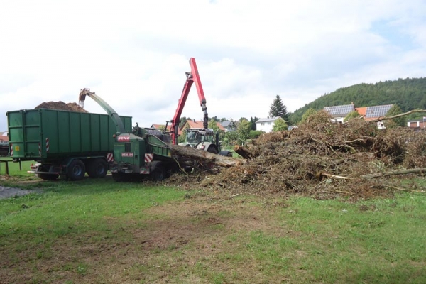 schnittgut-3D13CF9AB-D57E-C526-9C32-90CAB9E88A52.jpg