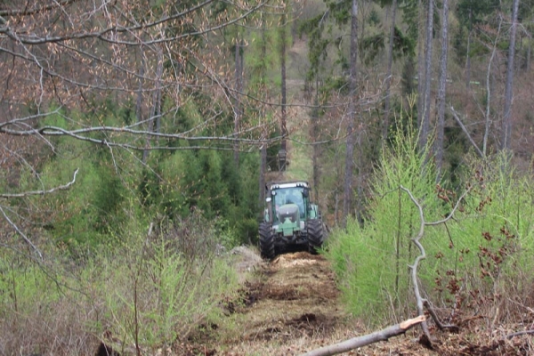 forstmulch469CEB5E5-9670-3B29-5240-1AFBCAE47C82.jpg