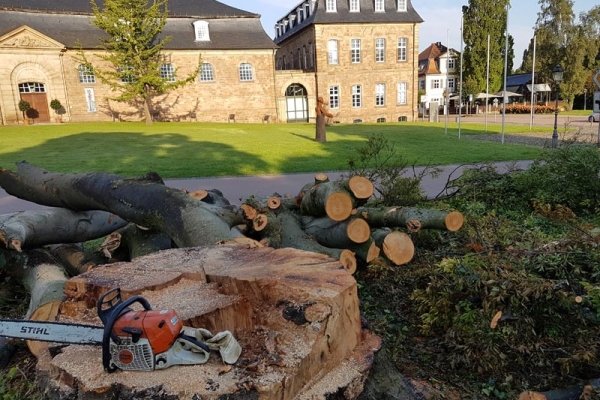 stukenbeseitigung-001F2D21997-7848-C51B-B285-DB526A5303D8.jpg