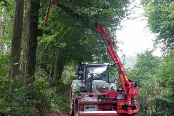 heckenschere-001687EC2FB-A0C5-6863-0033-3813C8B78A77.jpg