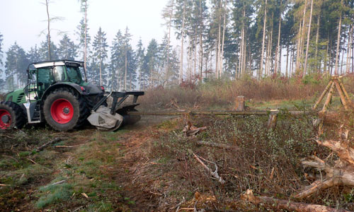 forstmulch wald