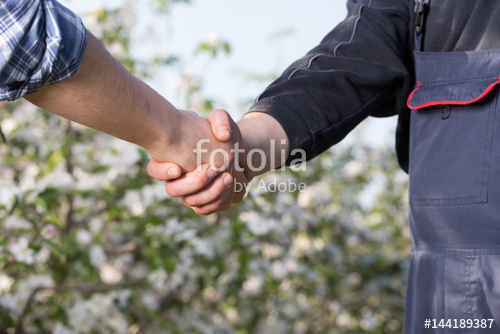 fotolia 144189387