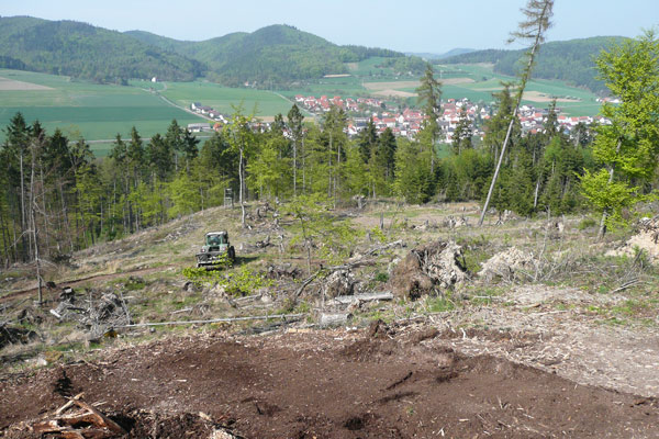 Zerkleinern von Schlagabraum in Willingen