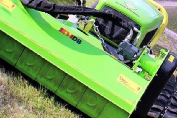 MBD Green Climber Raupe